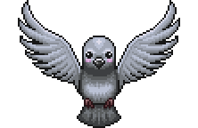 Watcher Bird