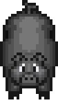 Bold Hog EX