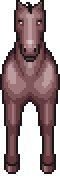 Pony Horse EX