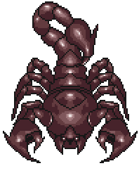 Scorpara