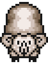 Romney Sheep