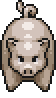 Stout Pig