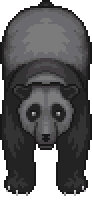 Old Bear