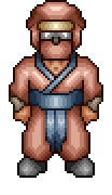 Ninja Bane
