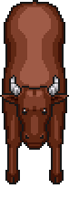 Hungry Ox