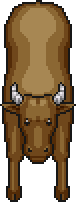 Mud Bull