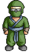 Ninja Iga Clan