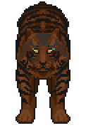 Old Tiger
