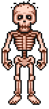 Skeleton