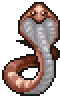 Cobra