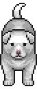 Jindo Dog