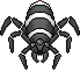 Black Spider