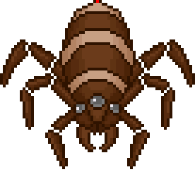 Spider