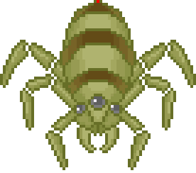 Blood Ticks