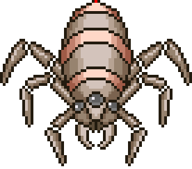 Spider Trap